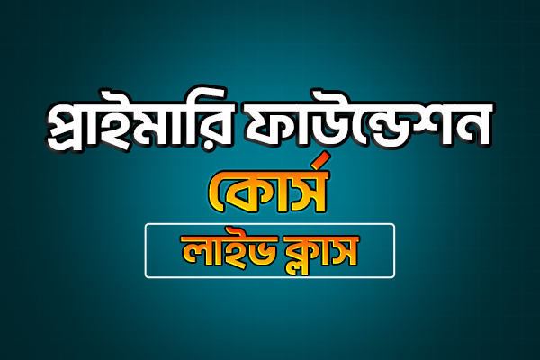 Primary Foundation Course (Basic to Advance)